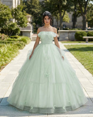 Elegant 3D Flowery Sage Green Tulle Fairy Ball Gown