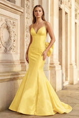 Hot Pink Spaghetti Straps Bow-Back Trumpet Long Gown