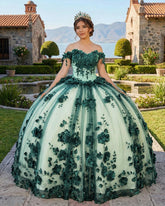 Green Ball Gown Off The Shoulder 3D Flowers Beads Applique Quinceanera Dresses