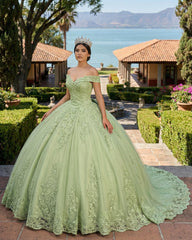 Lace Tulle Sage Applique Off Shoulder Quinceanera Dresses