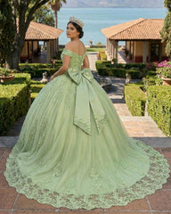 Lace Tulle Sage Applique Off Shoulder Quinceanera Dresses
