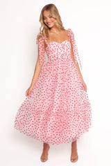 Elegant Dress