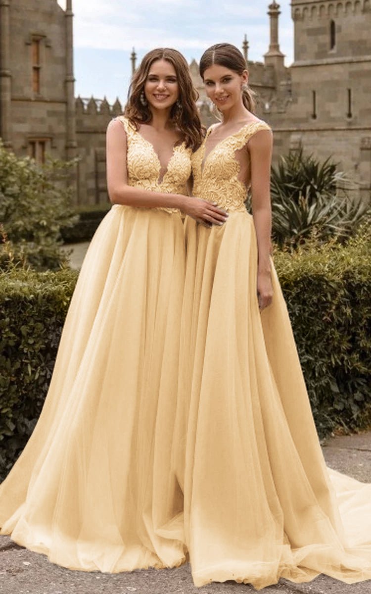 Lace V Neck Bridesmaid Dresses Sexy Illusion Back Tulle Dresses