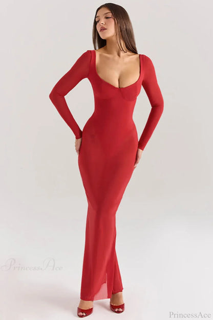Mesh Long Sleeve Fitted Elegant Maxi Dress