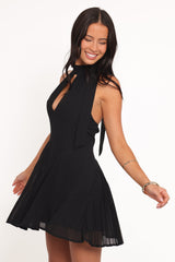 Elegant Dress