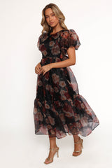 Elegant Dress