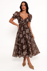 Elegant Dress