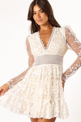 Elegant Dress