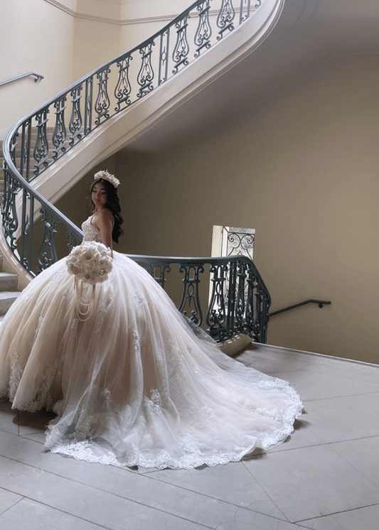 Lace Appliques Ball Gown V-Neck Quinceanera Dress